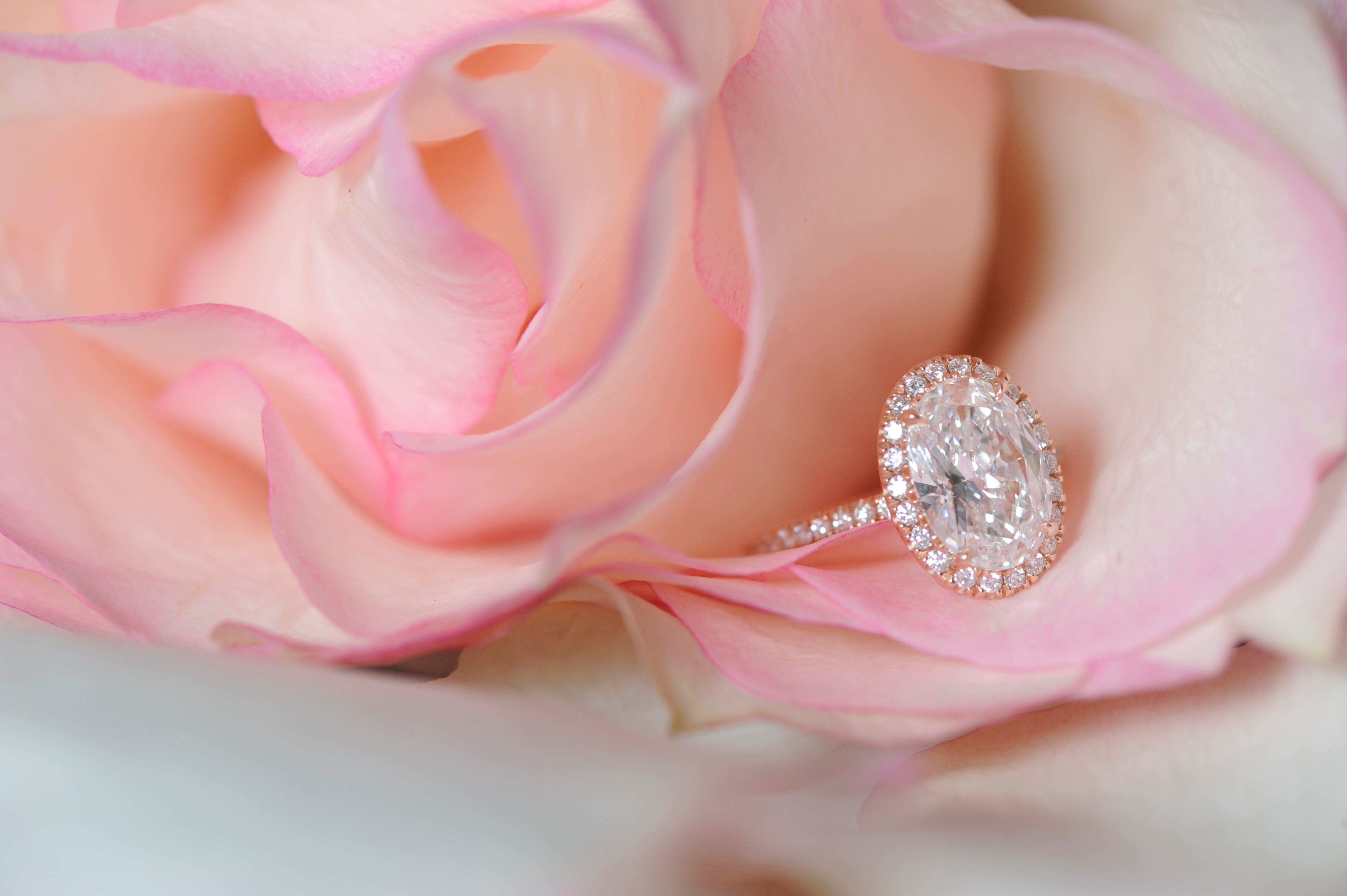 Oval Diamond In Rose Gold