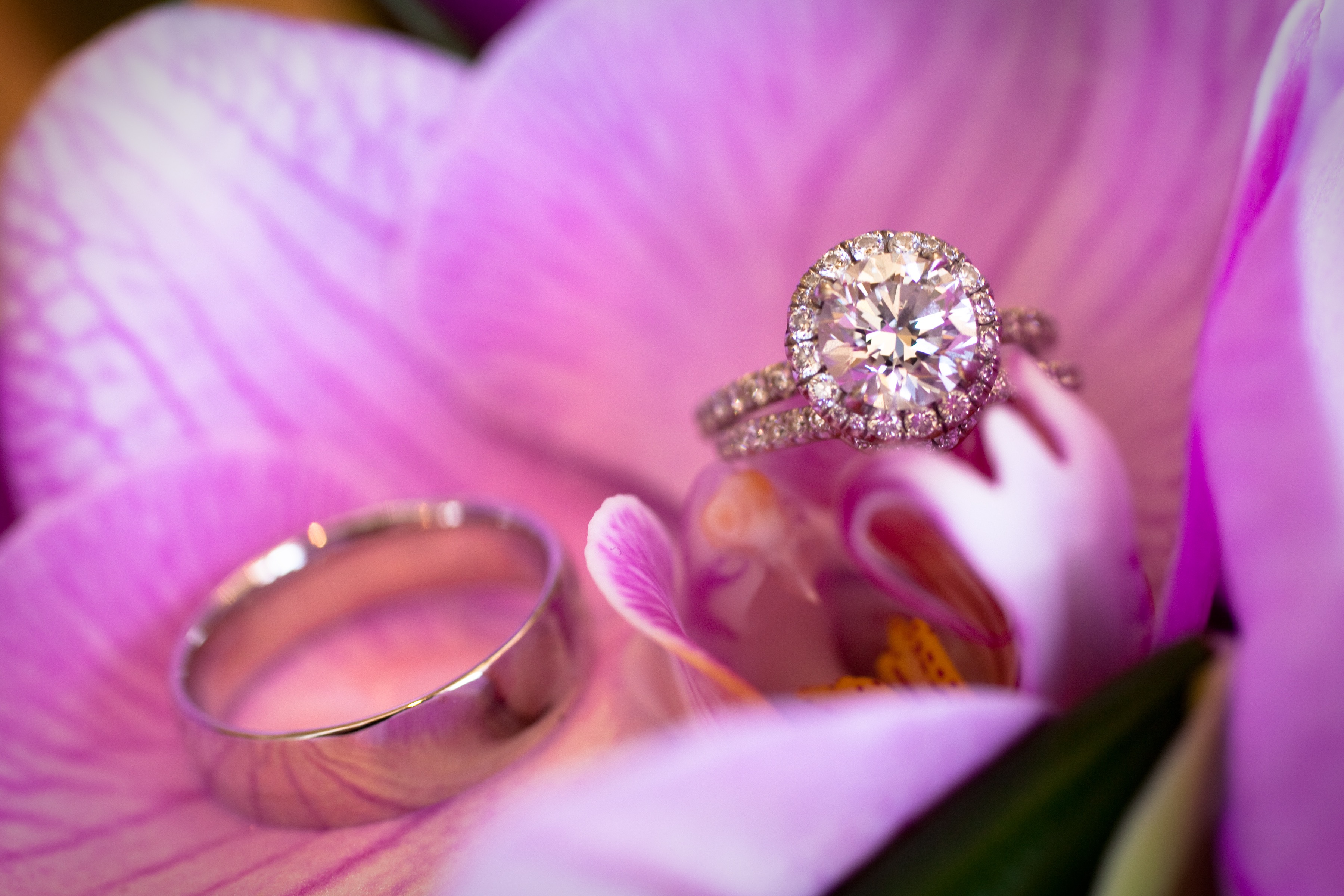 Round halo engagement ring and wedding bands